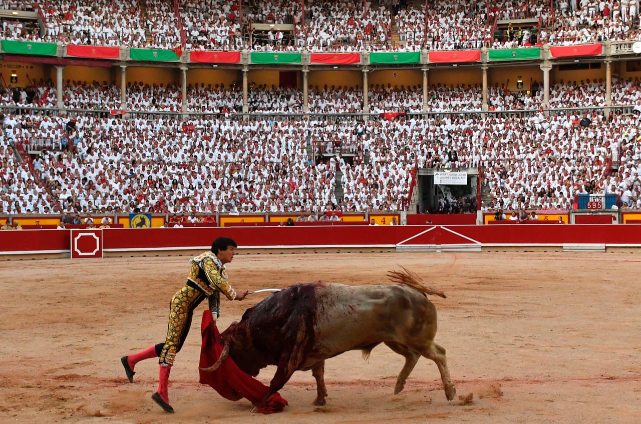 A pesar de las demostraciones y el debate que se da cada año, el empleo de los toros como entretenimiento y estas corridas sigue siendo una realidad. Los partidarios argumentan que es un evento cultural lleno de tradición y que es demasiado importante económicamente para la industria turística local. Sin embargo, los detractores insisten en cada vez son menos los pobladores que asisten a los encierros, por lo que el valor cultural queda en duda y más bien figura como excusa para hacer dinero. En la imagen, el matador peruano Andrés Roca Rey apuñala al animal.
<br>Fotografía del
<b> 11 de julio de 2017</b> /MIGUEL RIOPA/ AFP/ Getty