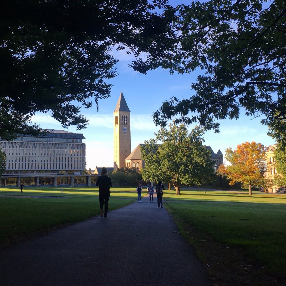 Tras el huracán María, Cornell ofrece un semestre libre de costo a jóvenes puertorriqueños