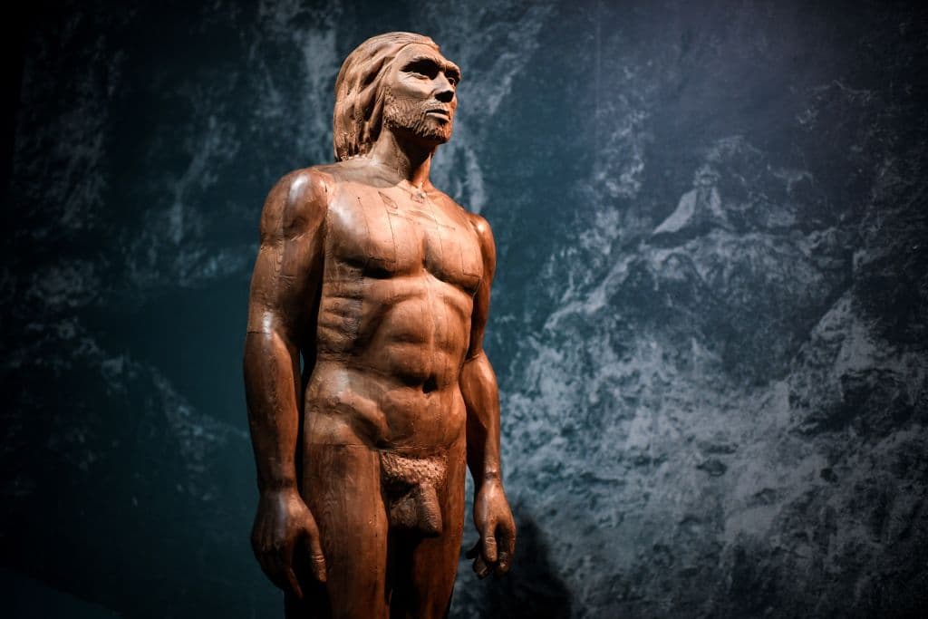 El sexo entre los primeros sapiens europeos y los neandertales fue más común de lo que se creía