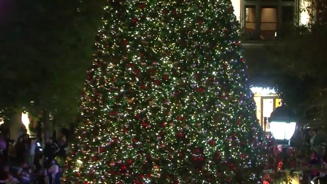 El evento se presenta durante las 
<a href="https://www.univision.com/local/houston-kxln/llega-a-houston-magical-winter-lights-el-gran-espectaculo-de-luces-navidenas-video">vacaciones navideñas,</a> cada hora a partir de las 5:30 pm a 9:30 pm.
