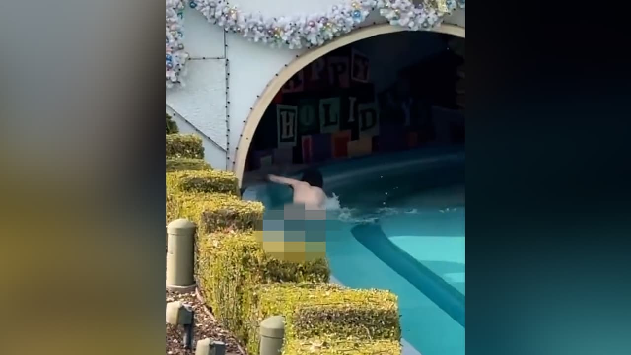 Aunque la policía no ha confirmado la identidad del detenido, una búsqueda hecha por 
<i>Noticias Univision 34</i> en el 
<b>reporte diario de arrestos</b> reveló que a las 13:47 del domingo la policía local arrestó a 
<a href="/df14e36d3eb54693b5e6563d19c4db79?pvs=25">Andy Alfredo Gómez</a>.