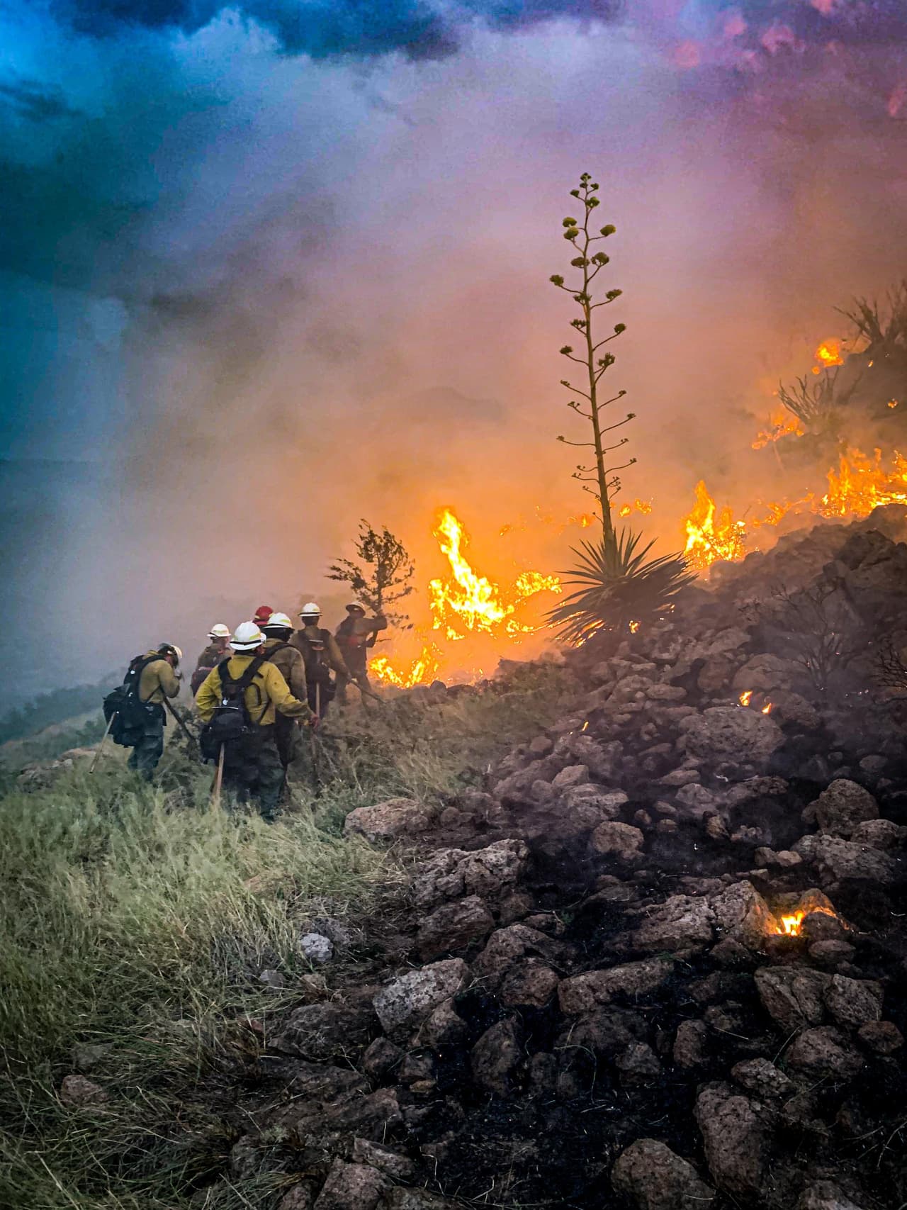 <b><a href="https://www.facebook.com/KlausFire/" target="_blank">El incendio Klaus</a></b>
<a href="https://www.facebook.com/KlausFire/" target="_blank"> </a>está ubicado en el distrito de Douglas Ranger en el Bosque Nacional Coronado. El incendio ha consumido 4,864 acres de terreno y solo se ha contenido en un 60%. 
<br>