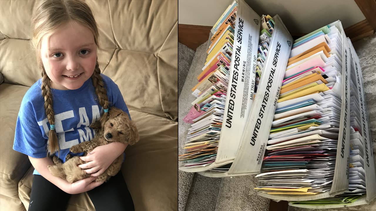 Miles de fotos de perros al día para ayudar a una niña con un cáncer terminal