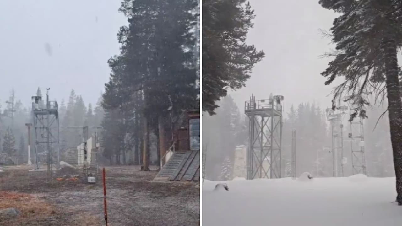 Para prevenir los accidentes, las autoridades recomiendan: llevar cadenas para nieve, llenar el tanque de gasolina, preparar un kit de primeros auxilios, revisar el correcto funcionamiento del carro y estar siempre atento a los avisos de las autoridades.