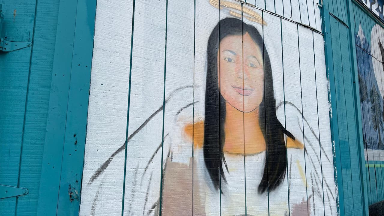 Una bala alcanzó herirla en la cabeza luego de que un hombre fuera asaltado y pensara que en la camioneta donde iba Arlene, 
<a href="https://www.univision.com/local/houston-kxln/hpd-sospechoso-robar-tony-earls-acusado-matar-a-arlene-alvarez-fotos" target="_blank">estaba el presunto ladrón</a>.