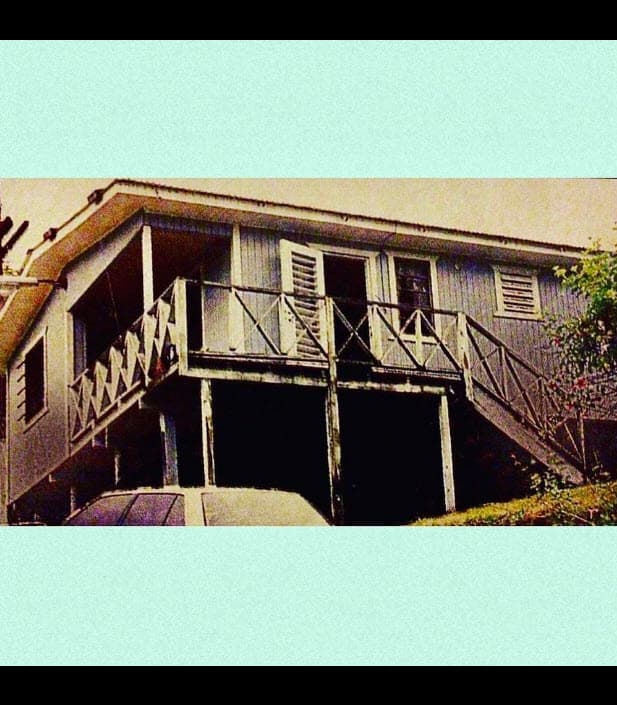 Se trata de esta foto en la que 
<b>se aprecia la casa en la que la modelo, de 47 años, creció</b> en Toa Alta. 
<br>