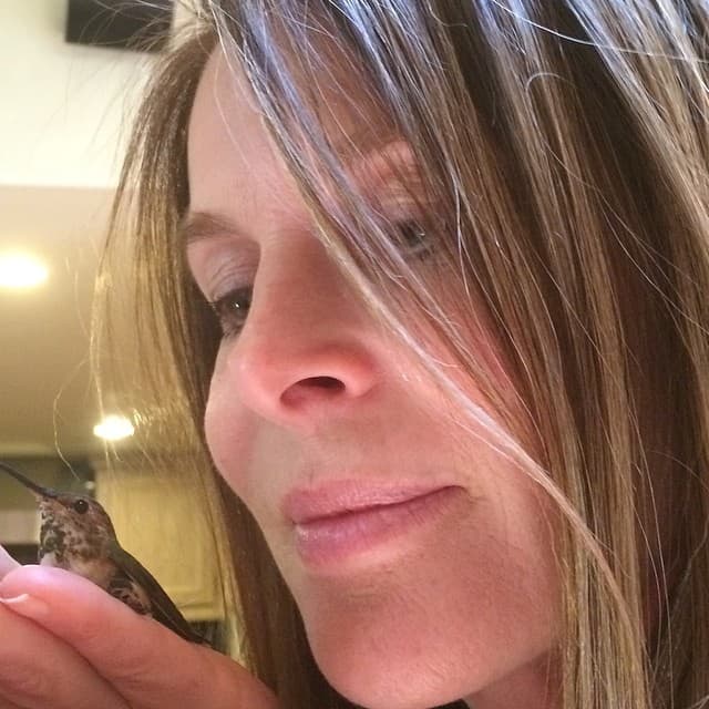 La trama cuenta la historia de amor de Diana y el príncipe Carlos hasta el momento de su matrimonio.