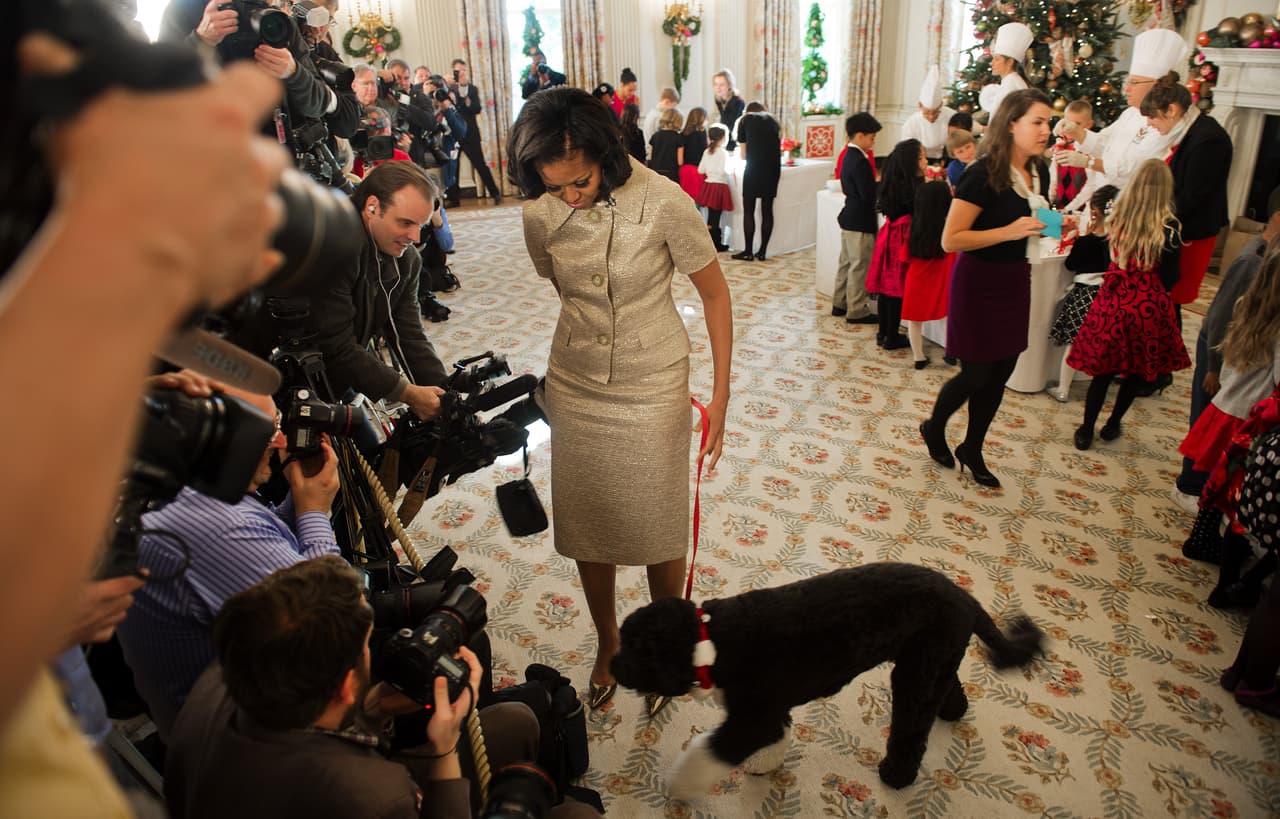 El sastre dorado con el que Michelle Obama le dio la bienvenida a la prensa en 2012 a la decoración navideña de la Casa Blanca, no bastó para acaparar la atención de las cámaras. Bo, siempre fue especialista en robar miradas.