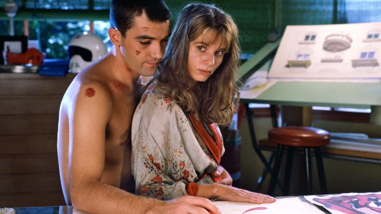 <b>¡Átame!</b>
<br>Si tiene algo en común esta cinta de Pedro Almodóvar con '365 días' es que existe una especie de secuestro, pues en la historia se narra cómo Ricky, un hombre con problemas de salud mental, sale de un psiquiátrico para reencontrarse con su gran amor, una actriz llamada Marina.