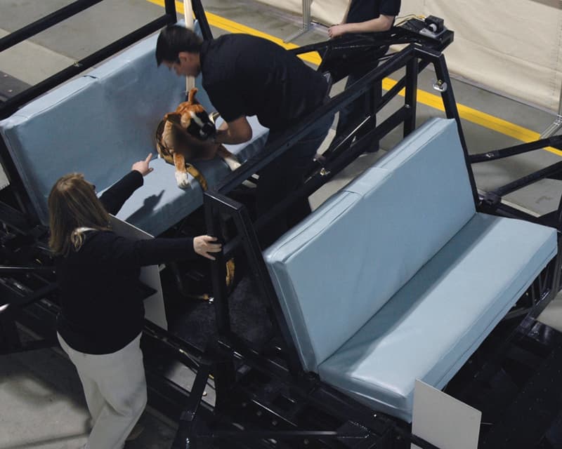 <h3 class="cms-H3-H3"><b>Elegir el equipo adecuado</b></h3>
<br>Es importante estar atento a la comodidad de la mascota. Si se hace evidente que el animal no está a gusto, es importante ajustarlo o considerar otro tipo de sistema par asegurarlo.