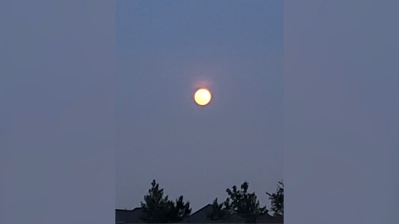 Aunque recibe se dice que es rosada, la realidad es que no tiene ese color.