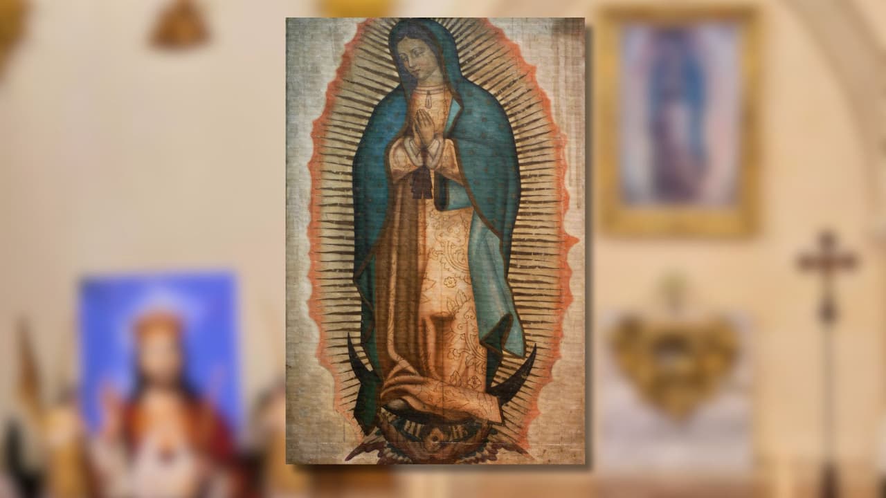 <h3 class="cms-H3-H3">🕊️ Fiesta de Nuestra Señora de Guadalupe</h3>
<br>📅 
<b>Miércoles 11 de diciembre </b>
<br>
<b>7 PM:</b> Serenata y danzas de matachines.
<br>
<b>11 PM: </b>Misa solemne en español presidida por el obispo Edward Burns.
<br>
<b>11:30 PM - 1 AM:</b> Veneración al altar y concierto con La Fiera de Ojinaga de Chihuahua.