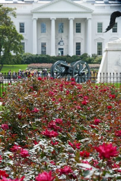 En una carta al Congreso, Monroe escribió que las piezas eran "realmente bien confeccionadas y esperamos que puedan ser utilizadas por unos 20 años". Al final, duraron cuatro décadas.