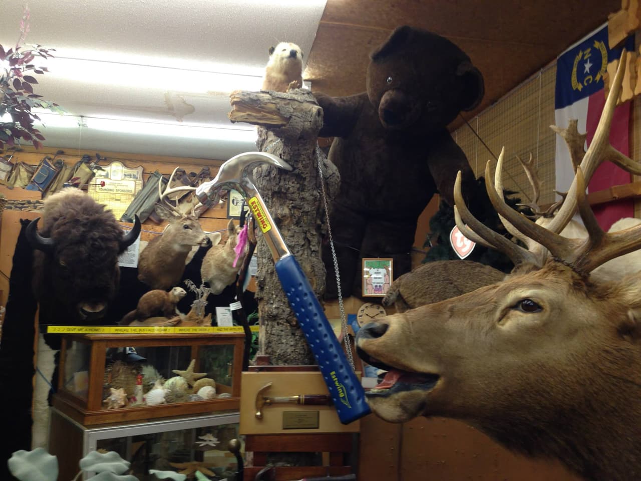 <b><a href="http://creation-museum.edan.io/" target="_blank">Creation Museum, Taxidermy Hall of Fame, and Antique Tool Museum (Southern Pines)</a></b>. Hogar de más de 
<b>200 animales disecados</b> súper realistas que han ganado premios nacionales de taxidermia, este "museo" es digno de ver. Lea sobre el creacionismo y busque herramientas antiguas que están en exhibición.