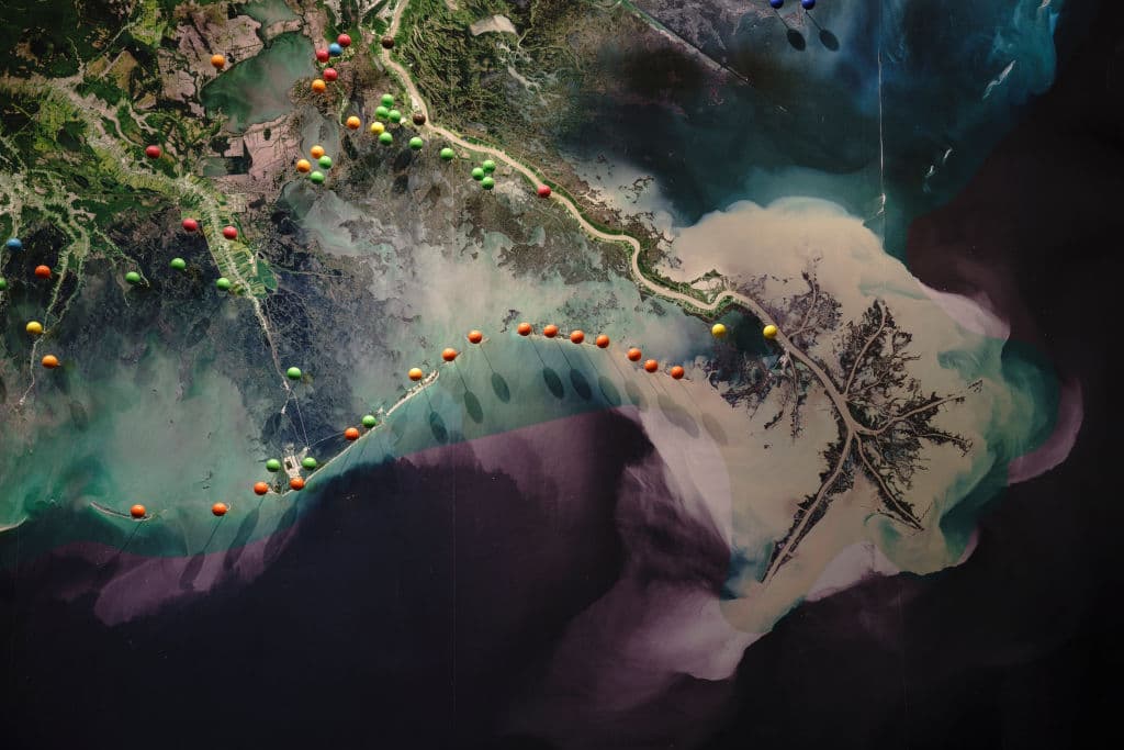 La 'zona muerta' del Golfo de México es más pequeña este año, pero el efecto sobre la vida es enorme