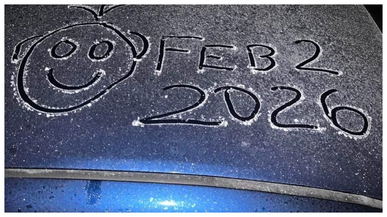 Carros con escarcha debido al frío intenso que azota a Miami