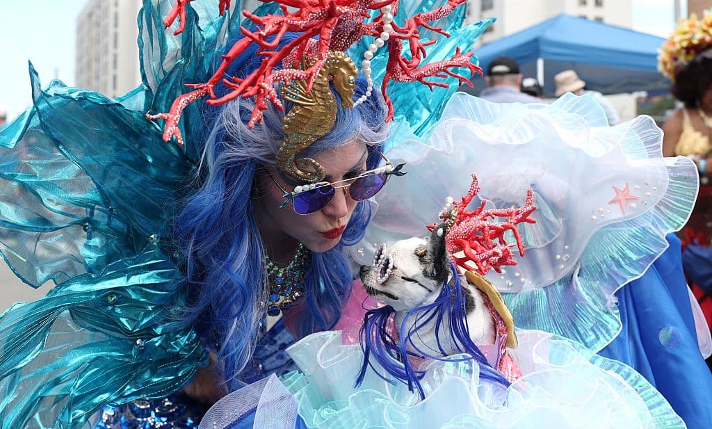 ¡Claro que hubo participación canina! Esta chihuahua salió irreconocible junto a su dueña a vivir una experiencia fenomenal en el Desfile de las Sirenas de Coney Island.