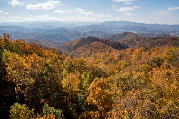 <b>El</b> 
<b>Parque Nacional de las Great Smoky Mountains es el sitio más visitado de la lista con 11,421,200 visitantes durante 2018</b>. Ubicado entre los estados de Tennessee y Carolina del Norte, este lugar es el hogar de 10,000 especies de plantas y animales entre los que se encuentran el alce y el oso negro.
<br>