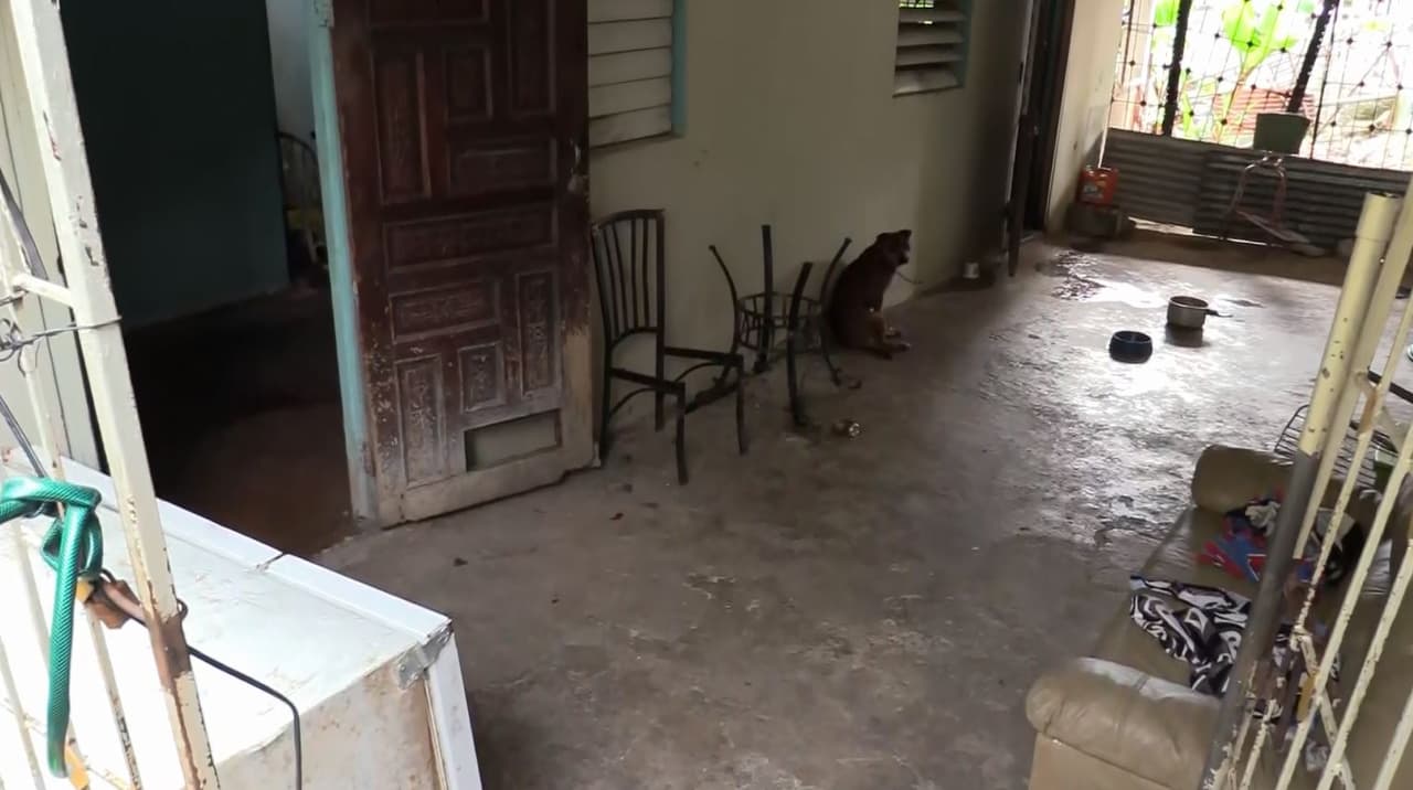 Según las autoridades la pareja llevaban tres años conviviendo y no era la primera vez que la mujer agredía al hombre.