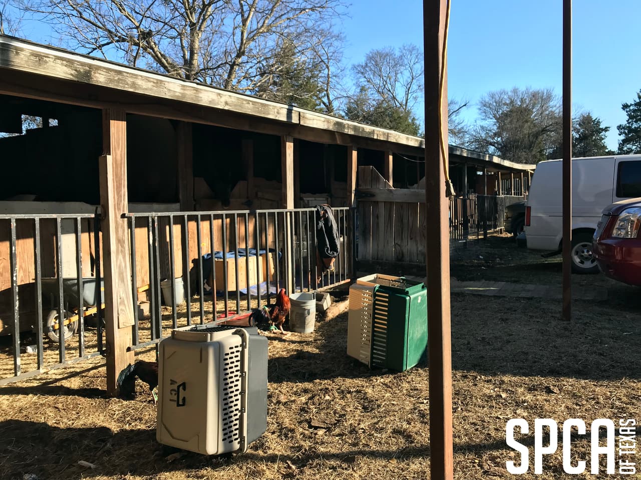 La Unidad de Crueldad de Animales del Departamento de la Policía de Dallas, que está a cargo de supervisar los cargos penales en el caso, trabajó en conjunto con la Sociedad Protectora de Animales de Texas, que a su vez ayudó a sacar a los animales del lugar.