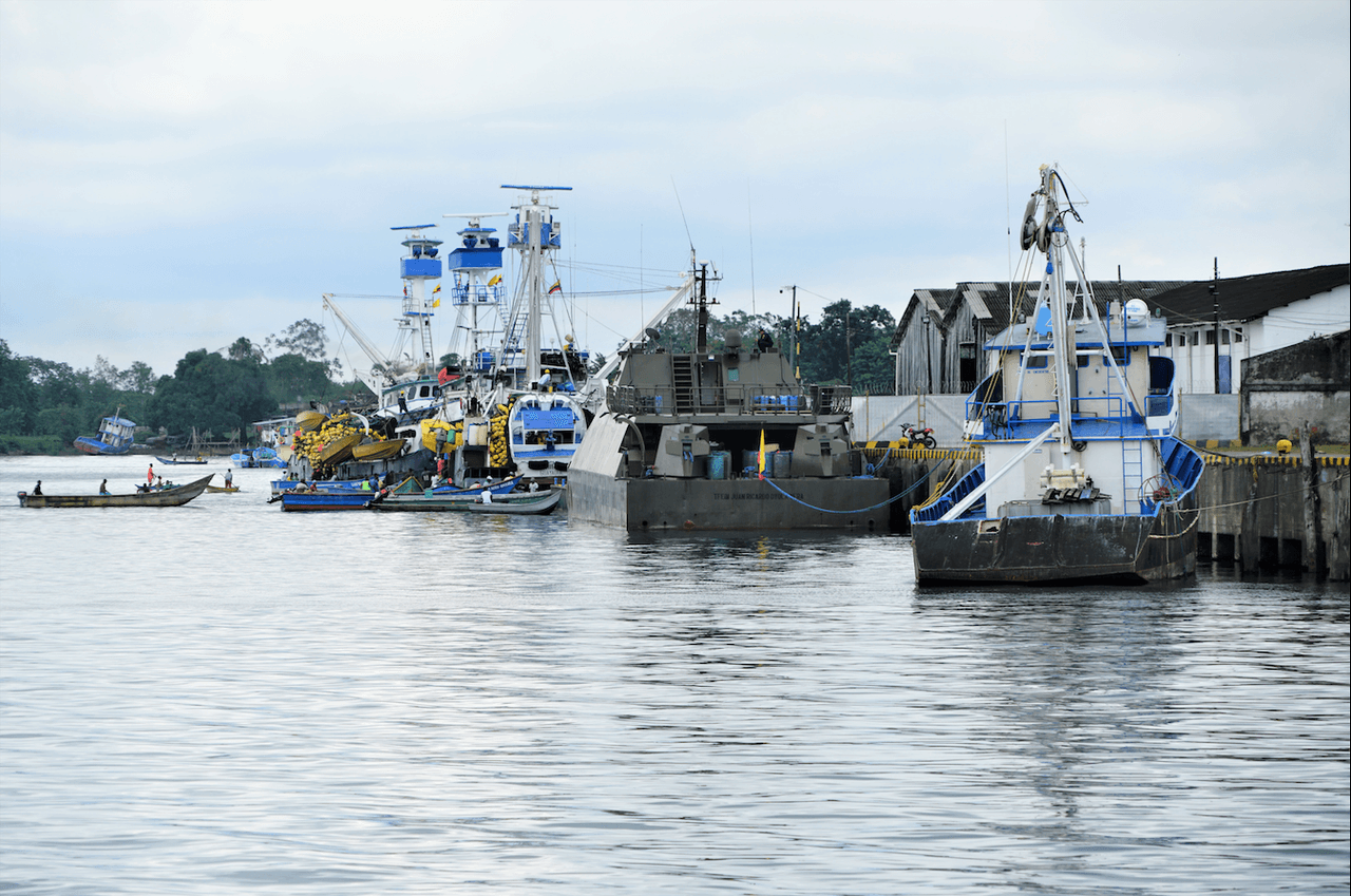 Tumaco es el puerto más cercano a las zonas de manglares y selva donde se construyen los semi sumergibles, según un ex enviado de los carteles mexicanos en Colombia.