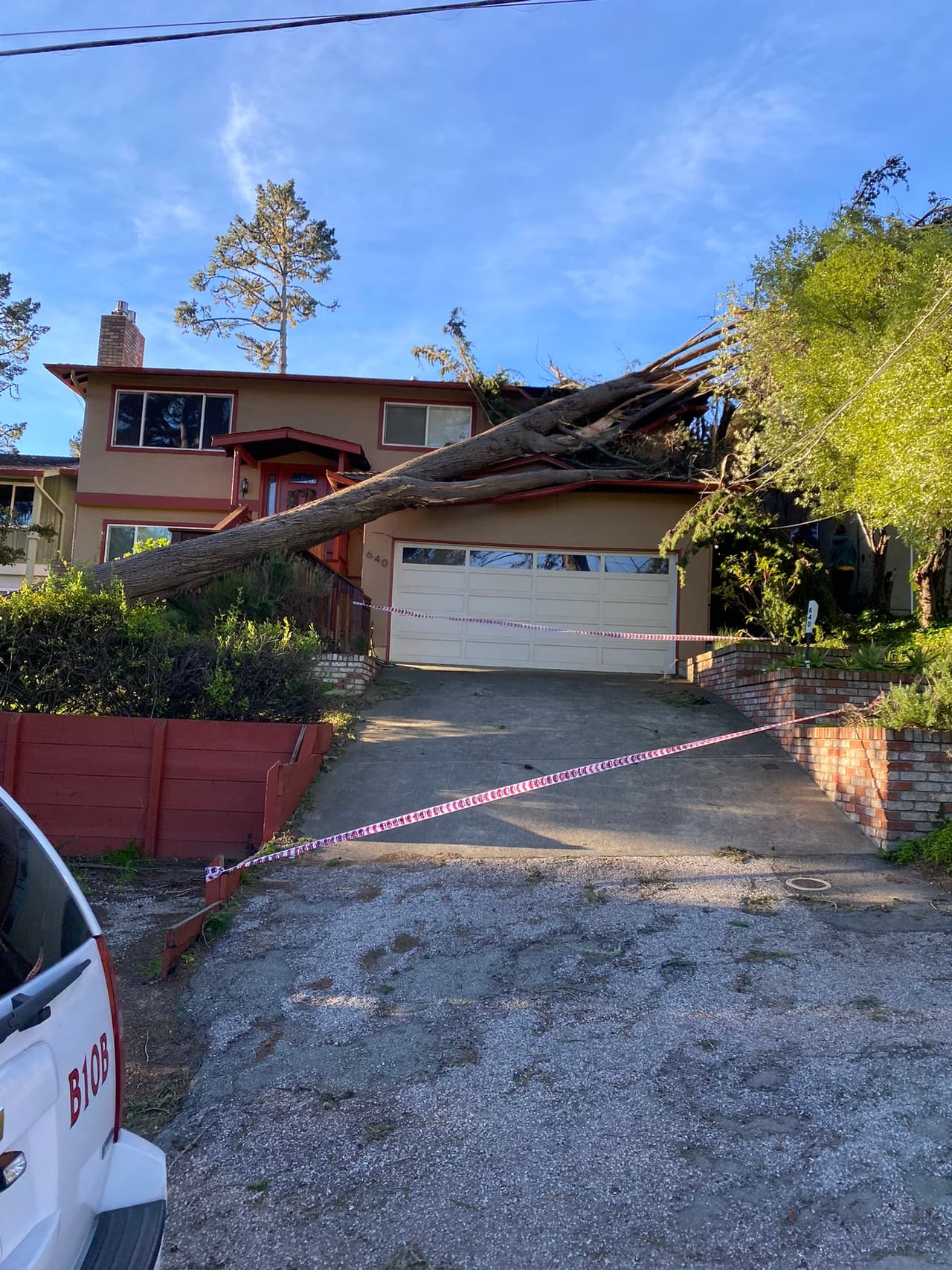 Lo que el viento se llevó: árboles caídos y apagones masivos a causa de los ventarrones en el Área de la Bahía