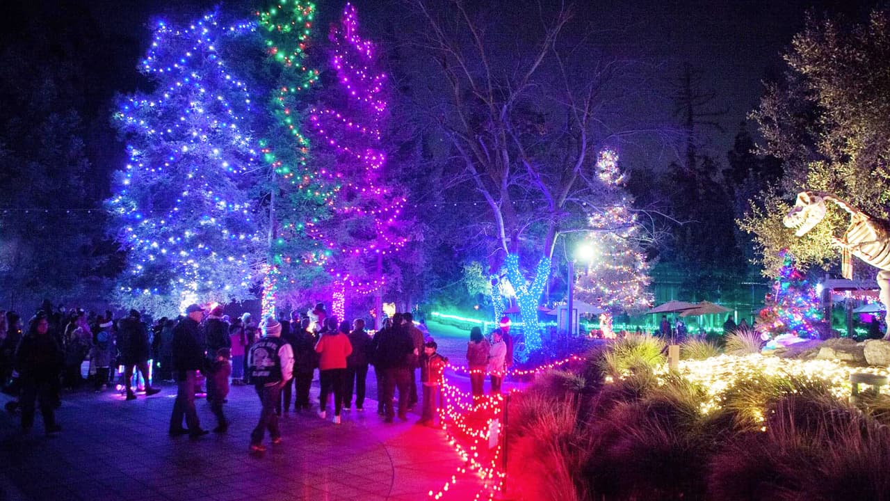 A partir de este fin de semana se enciende el espectáculo de luces navideñas en el zoológico de Fresno