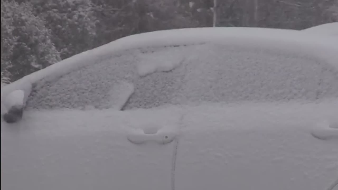A partir del domingo nuestra región estará bajo vigilancia de tormenta invernal y muchos residentes salieron buscando suministros.