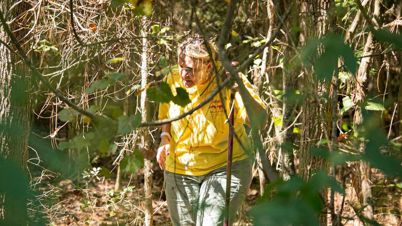 Hasta el momento no existen ninguna persona de interés identificada en el caso de la desaparición de 
<a href="https://www.univision.com/local/houston-kxln/continua-la-busqueda-contrarreloj-del-nino-hispano-christopher-ramirez-que-se-perdio-en-houston-video">Christopher Ramírez. </a>