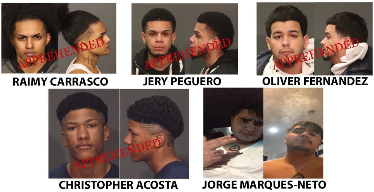 NYPD captura a cuatro supuestos pandilleros de Los Trinitarios y sigue tras uno de sus cómplices