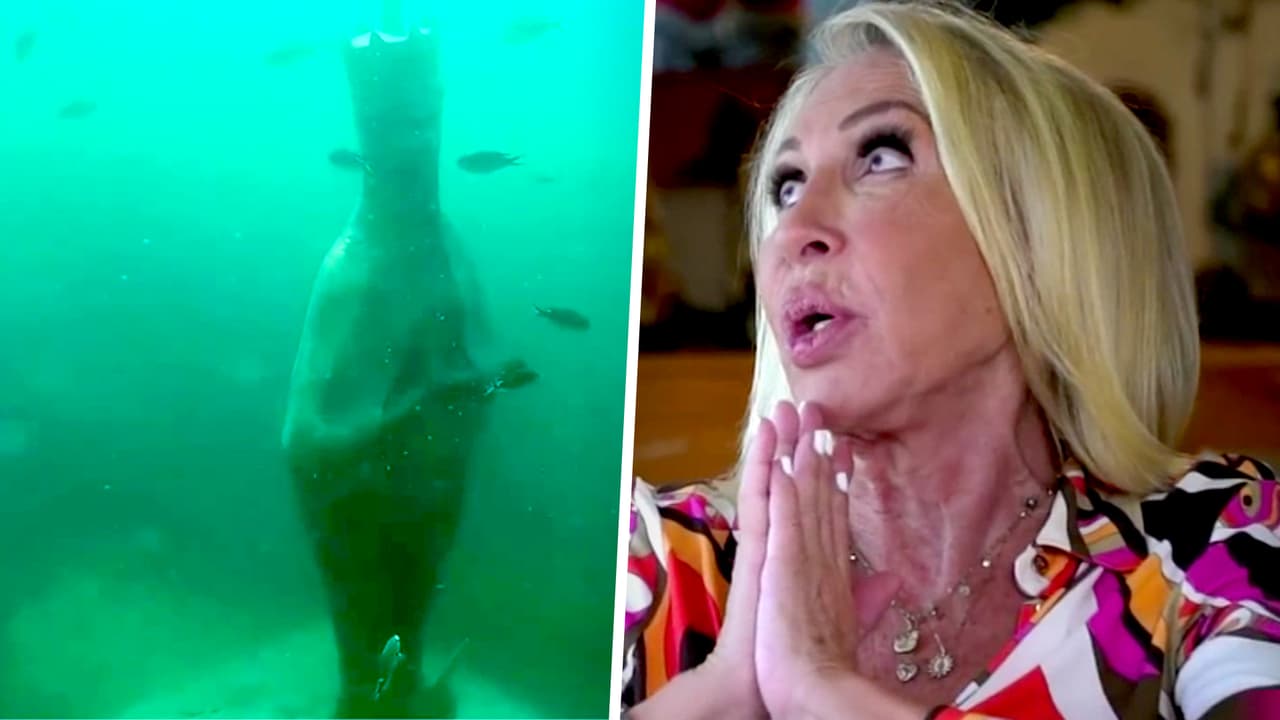 Laura Bozzo cumplió su promesa al dar gracias a la Virgen de Guadalupe que está bajo el mar de Acapulco