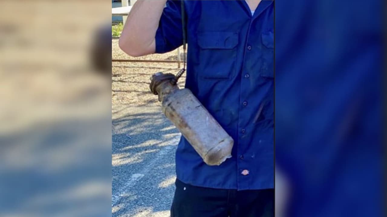 Los sospechosos, que tienen entre 22 y 81 años, son todos residentes de San José y enfrentan una variedad de cargos potenciales, que incluyen hurto mayor, recepción de propiedad robada, asalto con un arma mortal y posesión de armas ilegales, dijeron funcionarios policiales.
<br>