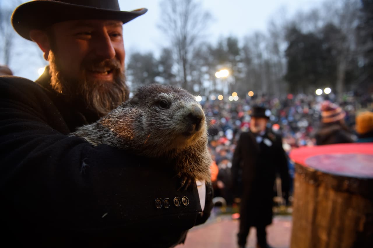 Día de la Marmota 2020: Punxsutawney Phil predice una primavera temprana y Woodstock Willie predice más invierno