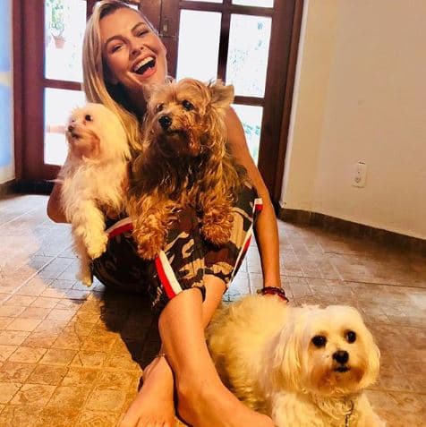 En su perfil de Instagram, Marjorie ha compartido imágenes de las tres mascotas que la han acompañado en los últimos años: Moshy, Mussa y Dolce.