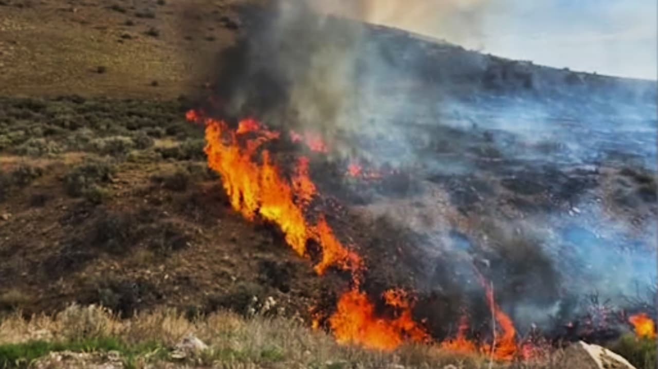 Incendios forestales afectan a comunidades en Utah: Hay un detenido por provocar las llamas