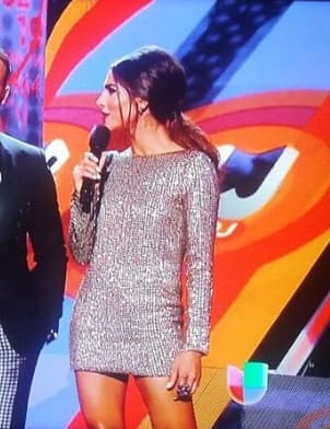 Sus accesorios fueron de Deepa Gurnani y zapatos de Azzidine Alaia.