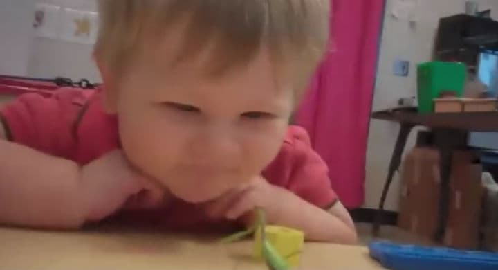 Un insecto  pareciera &#8216;querer comerse&#8217; la nariz de un niño en plena clase