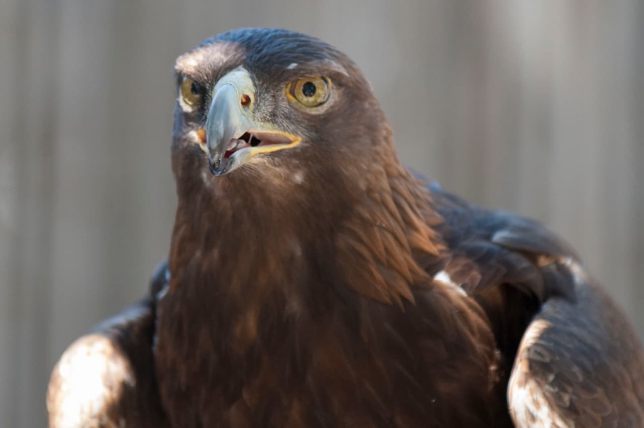 Un bello dia fue perfecto para las familias desde Bakersfield a Modesto.