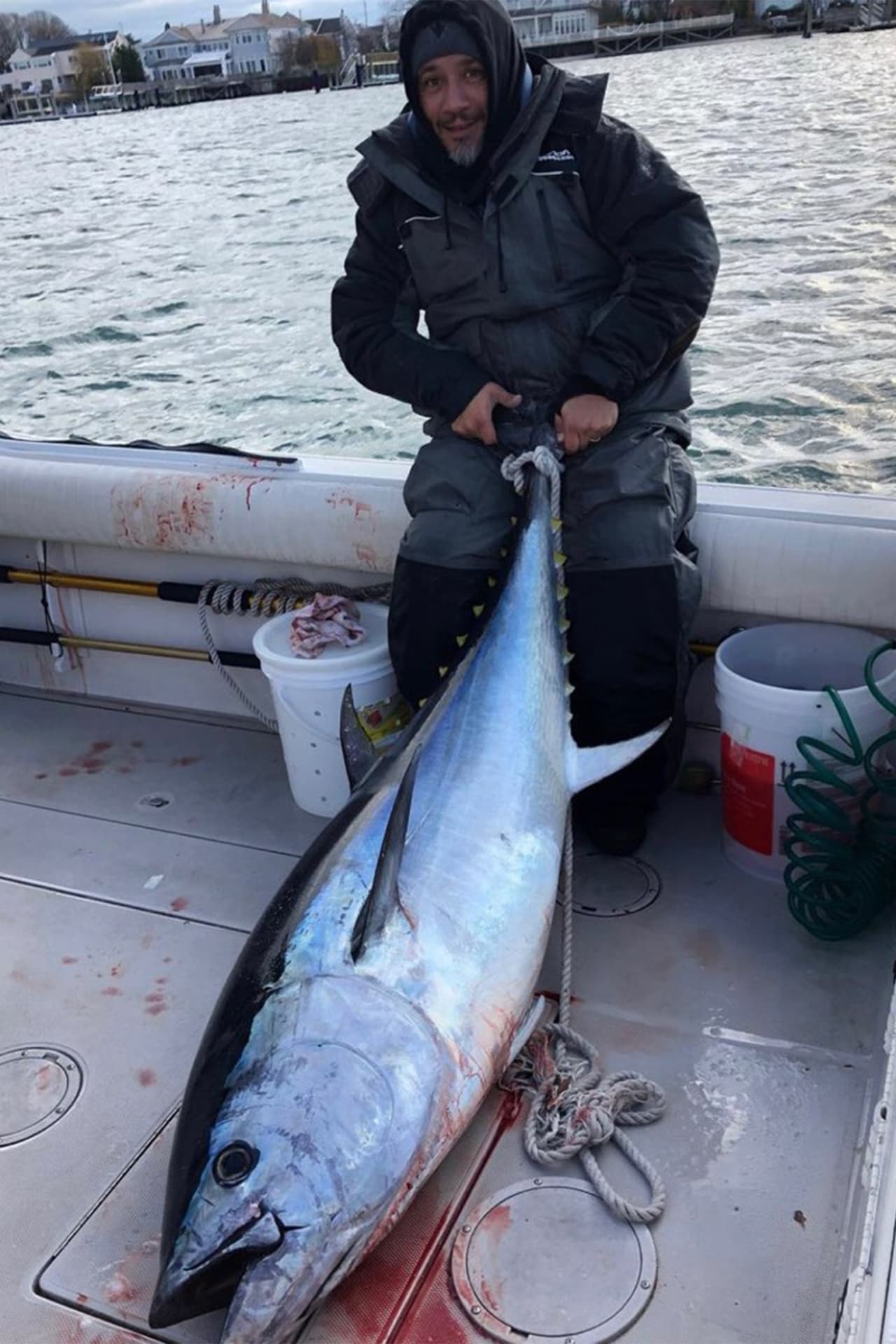 "Nunca los habíamos cogido así”, dijo Richard Colombo, un veterano pescador de 20 años, al New York Post. "Si ves a 200 barcos por ahí y cada uno está enganchando un atún, eso es una gran pesca".