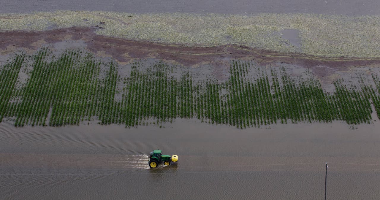 <b>Desbordamiento del río Mississippi </b>(del 1 de abril al 31 de mayo de 2011). Hubo inundaciones históricas luego de precipitaciones muy por encima de lo normal y el deshielo de la nieve, señala la NOAA. 
<b>Siete personas fallecieron. </b>También se registraron pérdidas millonarias de cultivos: 500 millones en Arkansas y 800 millones en Mississippi, por ejemplo. En la imagen, un granjero maneja un tractor en medio de una siembre de maíz inundada por el río Yazoo, un afluente del río Mississippi, cerca de Yazoo City. 
<b>Costo estimado del desastre: 3,500 millones de dólares.</b>
