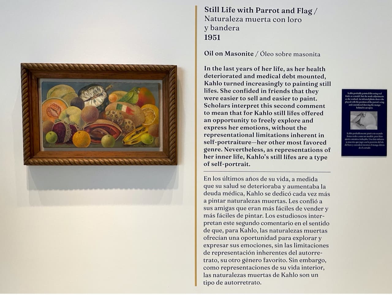 La pintura titulada Naturaleza muerta con loro y bandera es una obra que la artista pintó durante sus últimos años a medida que su salud se deterioraba.
<br>
<br>