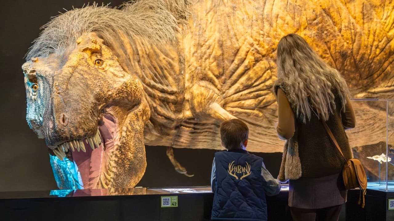 En el corazón de Dallas, 
<b>el Museo Perot te invita a explorar la historia natural y la ciencia a través de fascinantes fósiles de dinosaurios</b>. ¡Es un lugar perfecto para disfrutar de actividades emocionantes en familia y descubrir el asombroso mundo de los dinosaurios! 
<a href="https://www.perotmuseum.org/es/" target="_blank">Haz clic aquí para encontrar toda la información. </a>