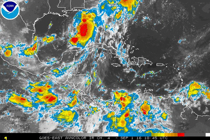 People from Florida's Gulf Coast, from the panhandle to Tampa, prepared Thursday for Hurricane Hermine.