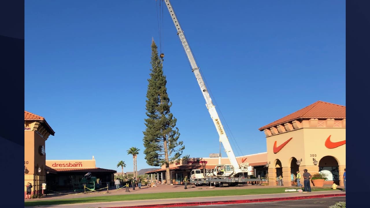 “Alojar el árbol de Navidad más alto de Arizona, incluso durante una pandemia, demuestra que no nos rendiremos”, indican los funcionarios del centro comercial al norte de Phoenix.
<br>
