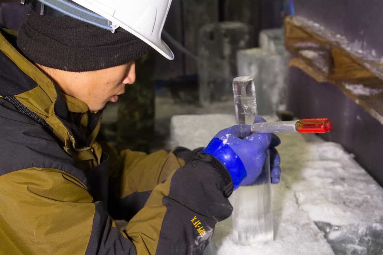 Los artistas talladores de hielo de la exhibición 'Navidad Caribeña' del Moody Gardens realizan un trabajo detallado para crear obras muy realistas.