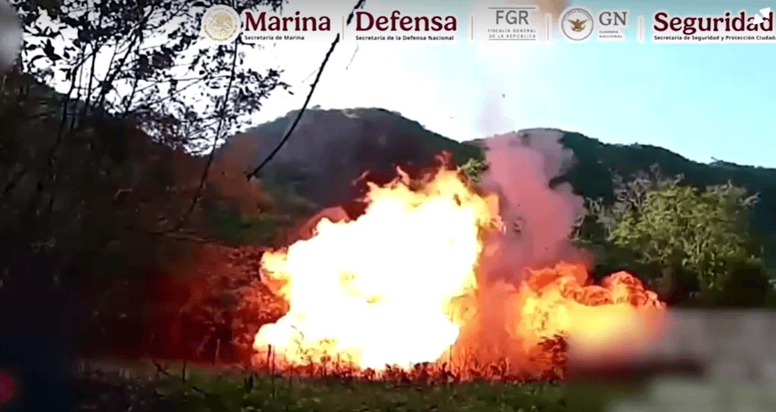 Además de asegurar el lugar y luego neutralizarlo, previamente las autoridades confiscaron
<b> distintas evidencias</b>.