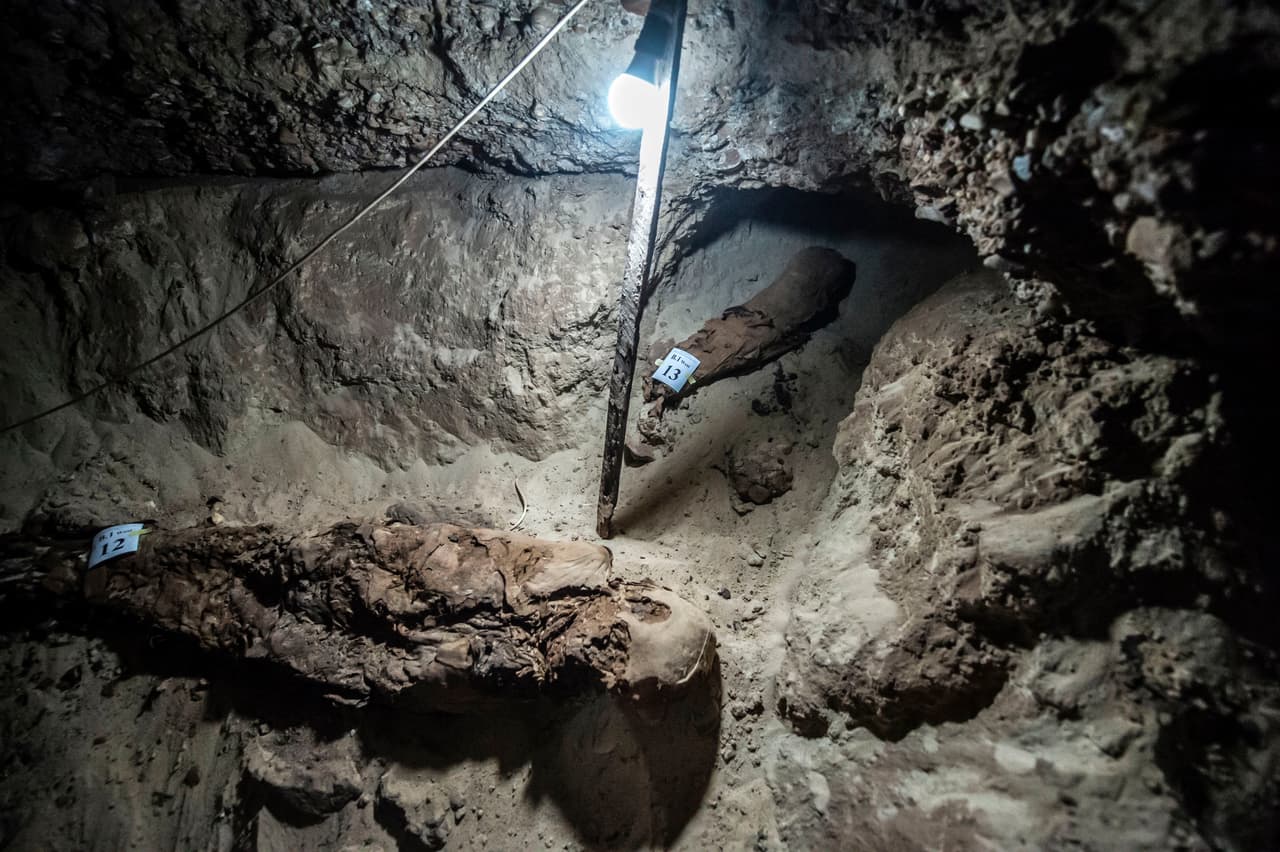 El ministro de antigüedades también dijo a la prensa que la excavación del yacimiento está en una fase preliminar y que cabe esperar que los descubrimientos sean "mucho mayores".