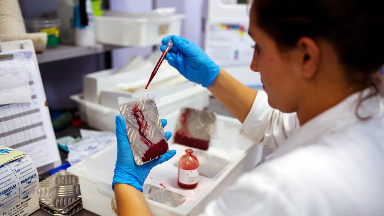 Avances médicos contra el potente virus del Zika