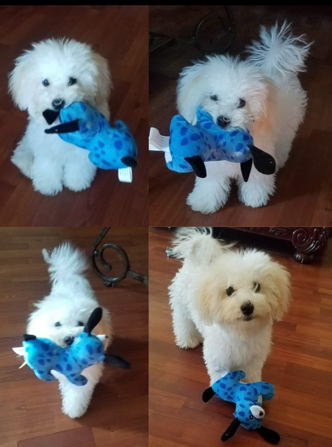 "Nuestro bebé chiquiado Maylo" - Karina López