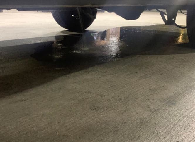 “Dos veces en los últimos 10 días, vándalos han robado gasolina de nuestras furgonetas de transporte”, reportó el sitio de rescate animal el jueves 31 de marzo.